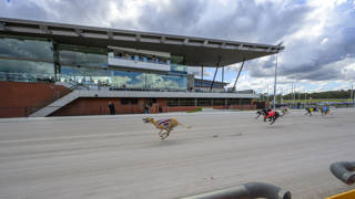 Box speed vital for Woods’ Golden Chase duo